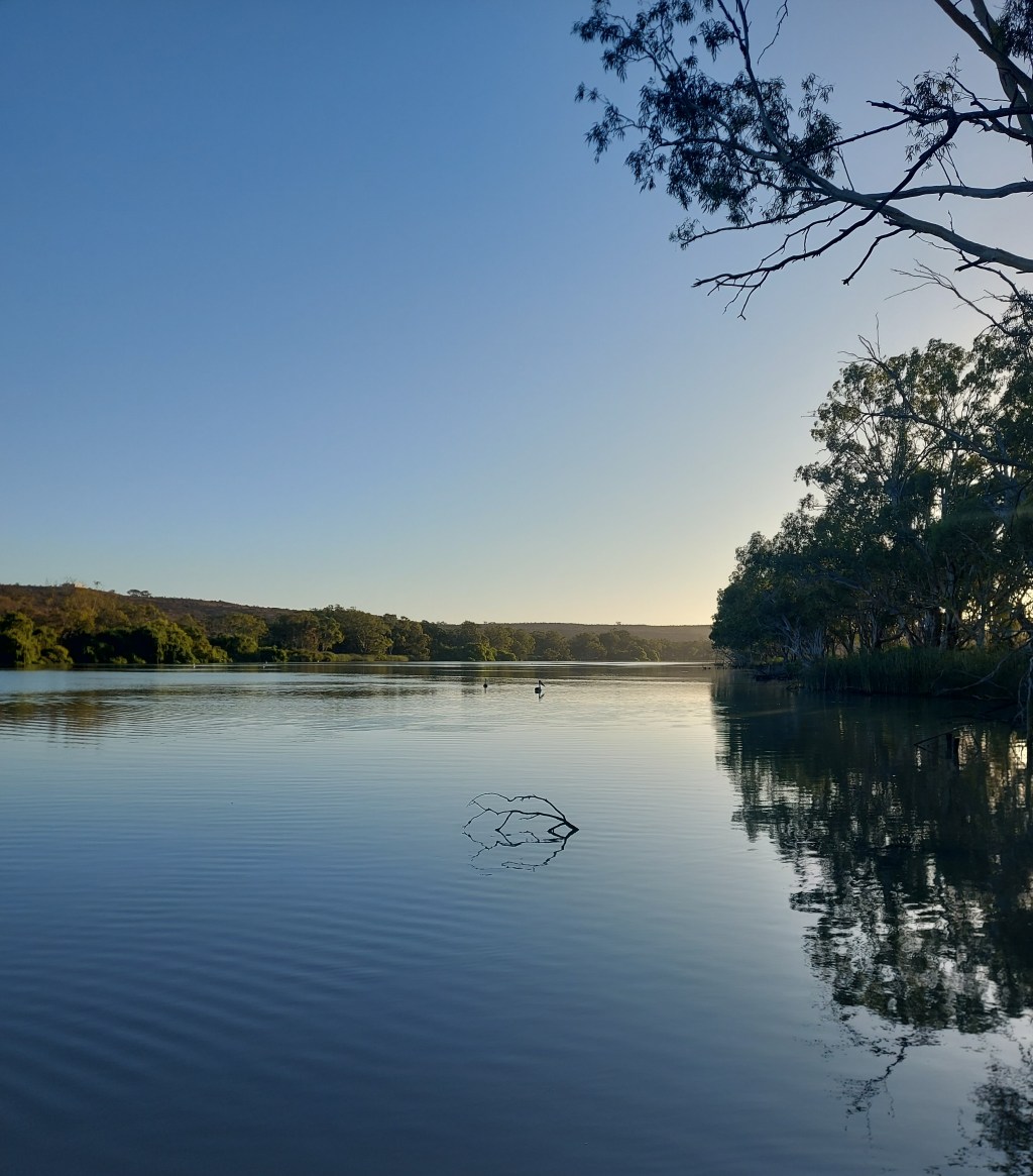 UP THE CREEK WITHOUT A PADDLE